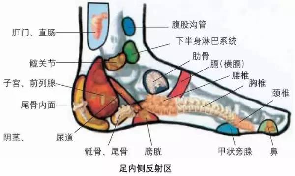 健康缘来很简单|人体全息图，哪里不适按哪里（留着备用）