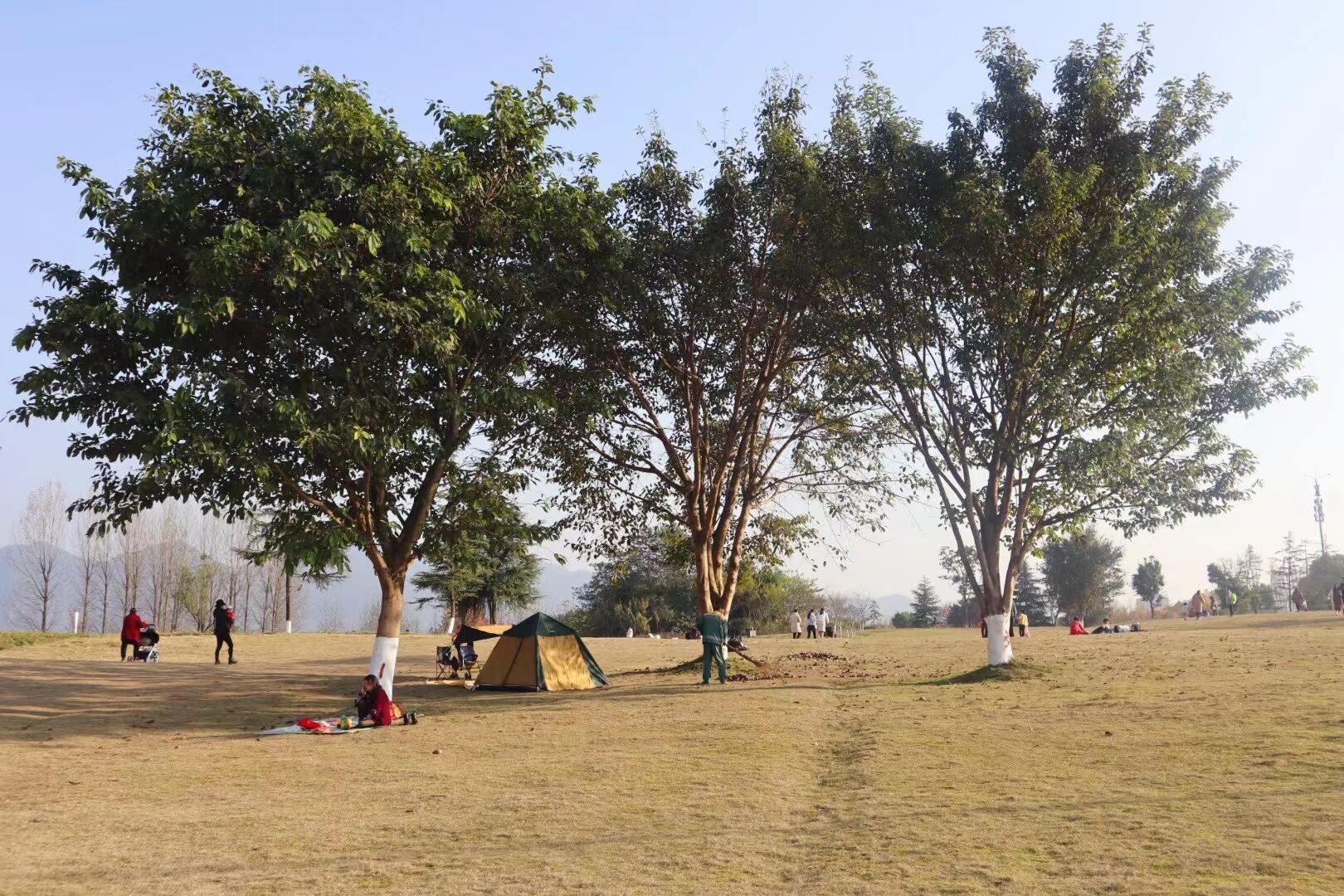 罗非鱼|人少小众！就在重庆主城！摄影、遛娃、垂钓……赶快来！