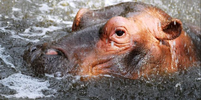 旅行者 20条与颜色有关的冷知识，五颜六色