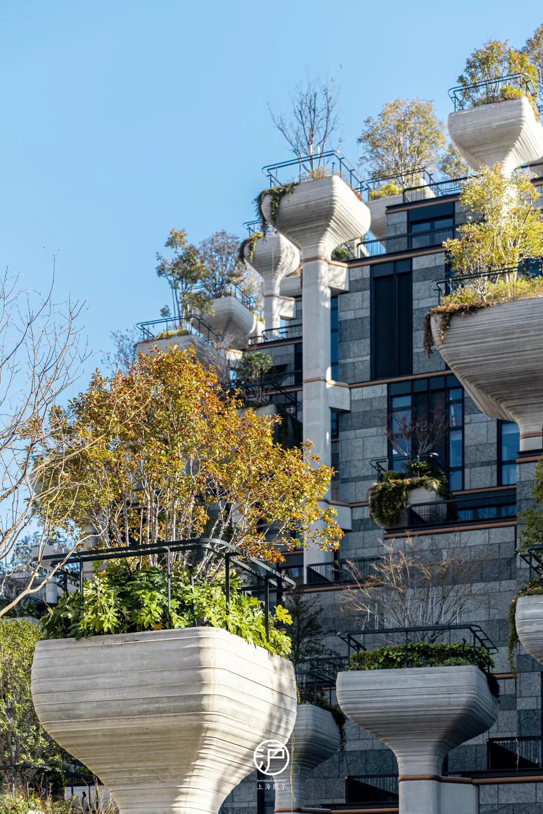 万众瞩目的“悬浮森林”终于完工开业了！室内实景图曝光