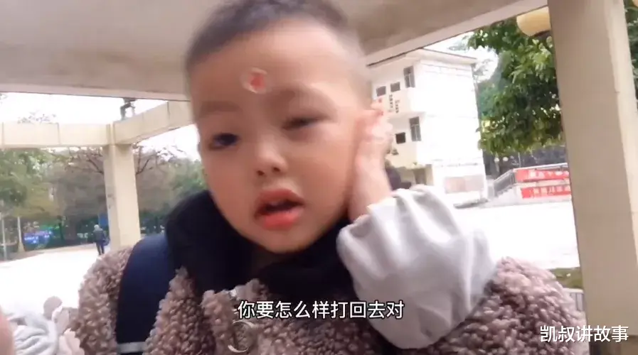 凯叔讲故事|“他打你，就给我打回去”，教孩子以暴制暴后，我看到可怕的一幕