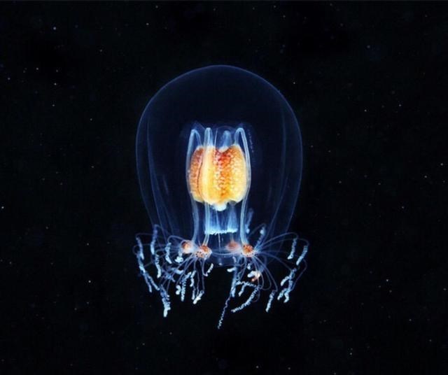 人类为何不能永生？科学家：人类都是“打工仔”