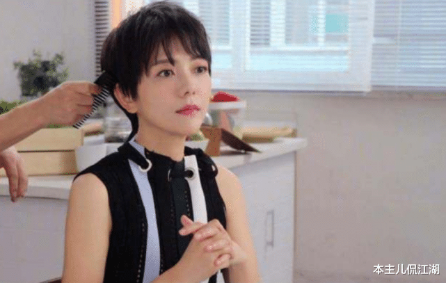 杨乐乐|从被“诈骗788万”到“老赖之路”，杨乐乐经历了什么？