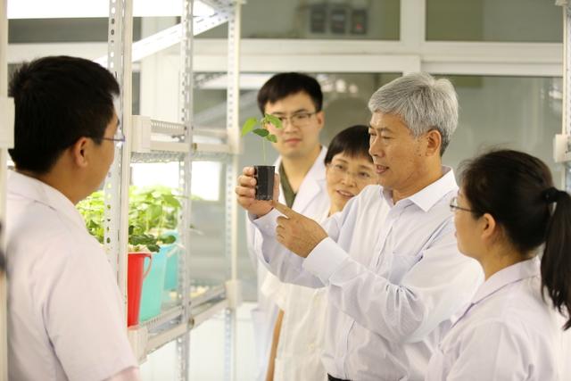 河北新闻网 人物｜马峙英：为了棉农的微笑和粮食的丰收