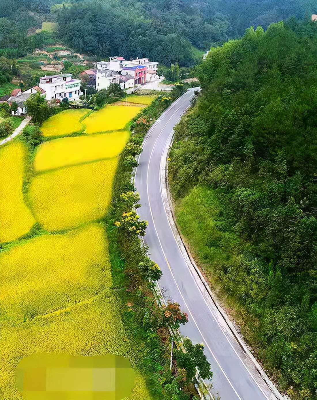 网事如风 敢叫大地换新颜：崇阳农村路网建设五年迅猛发展札记