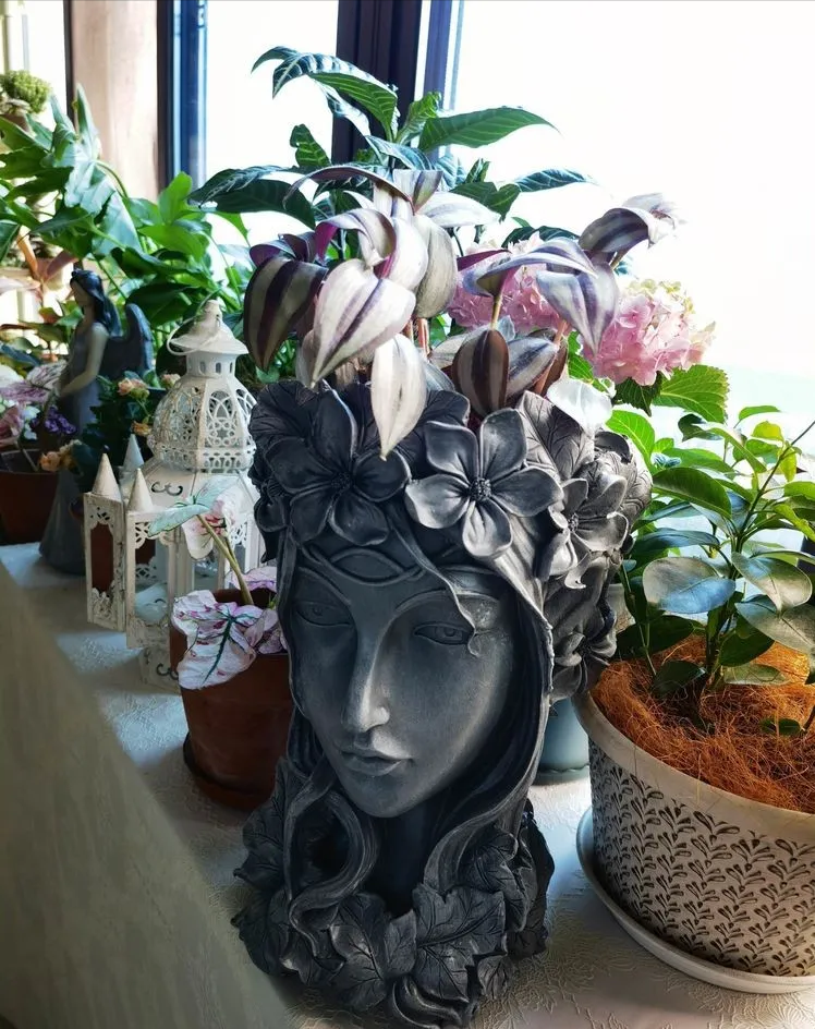 6㎡封闭阳台造花园，1寸空间也不浪费，不出门也能看风景