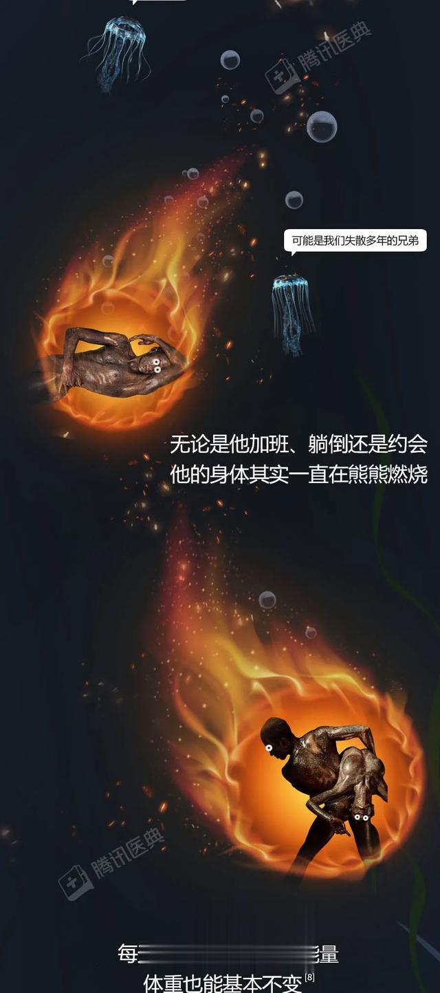 营养膳食|那些长期不吃晚饭的人，最终怎么了？