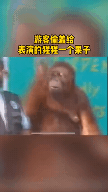 歪骆驼|“小姐姐耍得一手好面条，这小眼神也是绝了”