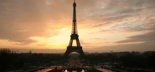 仙人掌 18条冷知识：骆驼吃仙人掌不扎嘴？企鹅也是大长腿？了解一下