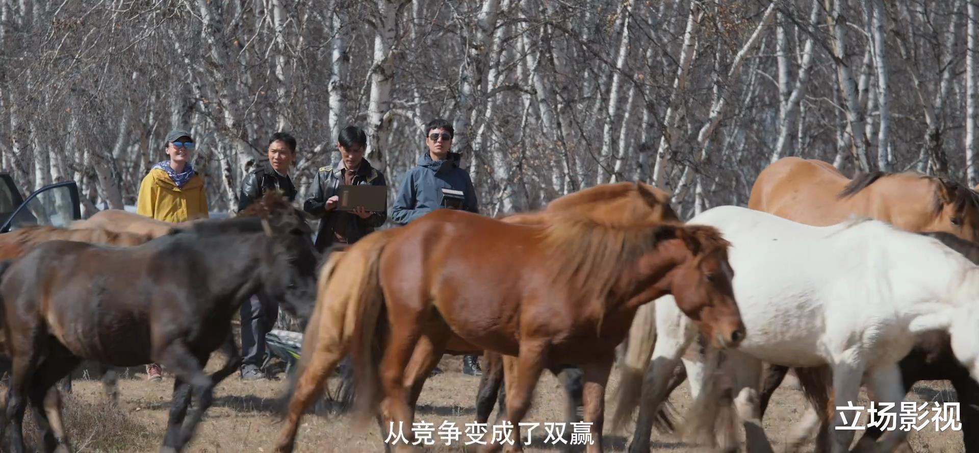 输赢|《输赢》今晚首播，三网二台联播，凭3大看点，欲再掀收视狂潮