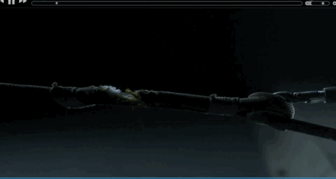 行尸走肉|《行尸走肉》最终季，第一集已出，引出新的组织，高潮迭起