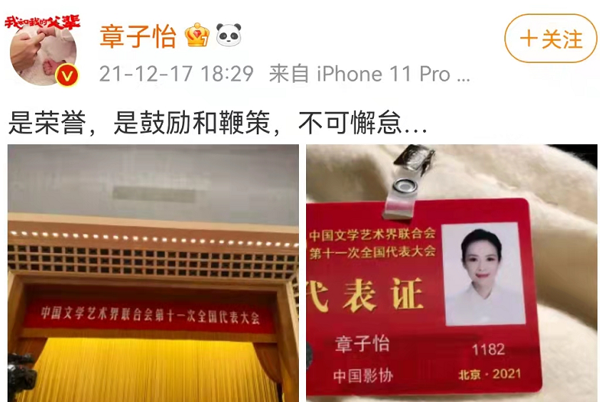 章子怡|章子怡绝美证件照太有央视范！穿藕粉大衣超温柔，海霞都变小迷妹