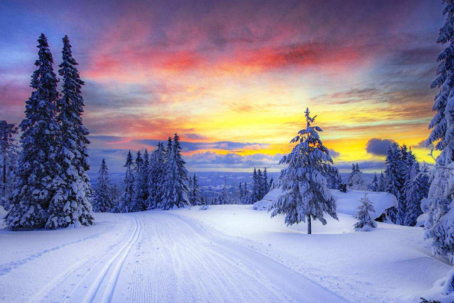 属鼠|恭喜！2022年，3生肖抽中上上签，好运回归，横财入账，苦尽甘来