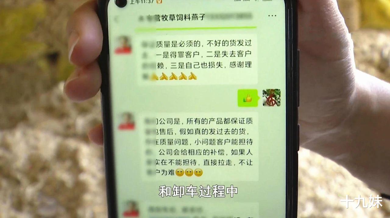 十九妹 牛草料里全是石块，厂家竟给出这样的解决方案，养殖户委屈大哭