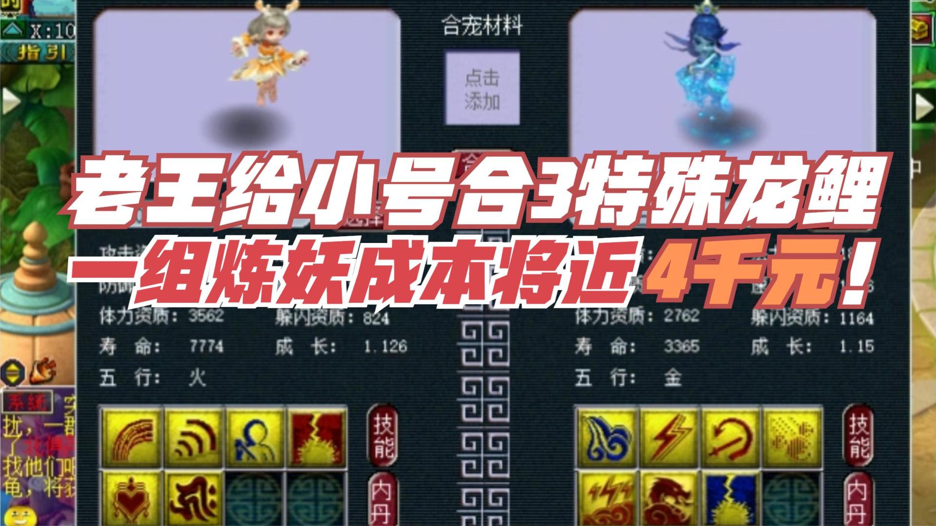 梦幻西游:老王用成品胚子合3特殊龙鲤,一组炼妖成本将近4千元!