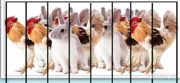 暖妈育儿经|“教研究生数学，却做不来小学奥数”，清华教授吐槽，引家长共鸣