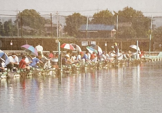 日本|[ 鲫鱼钓 ] 日鲫集中管理鱼塘，日本专业钓鲫鱼书籍