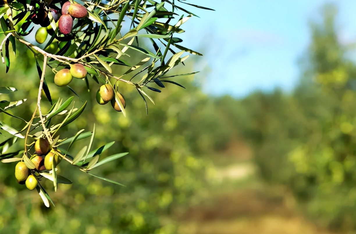 水果|吃一口等于5斤盐，骨科专家：这3种水果要少吃了，否则骨头“烂成泥”