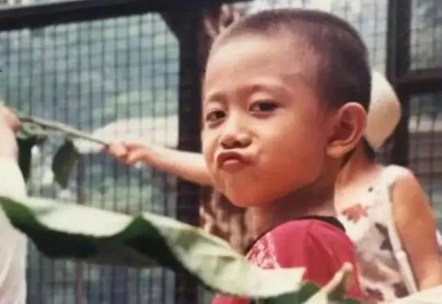 张一山|“京圈太子爷”张一山的超低调猎艳史：渣男从来不是他