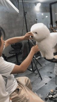 萌控孩|现在足疗店都这么好玩了？为啥要用小锤子呢？多少有些想不通哈哈