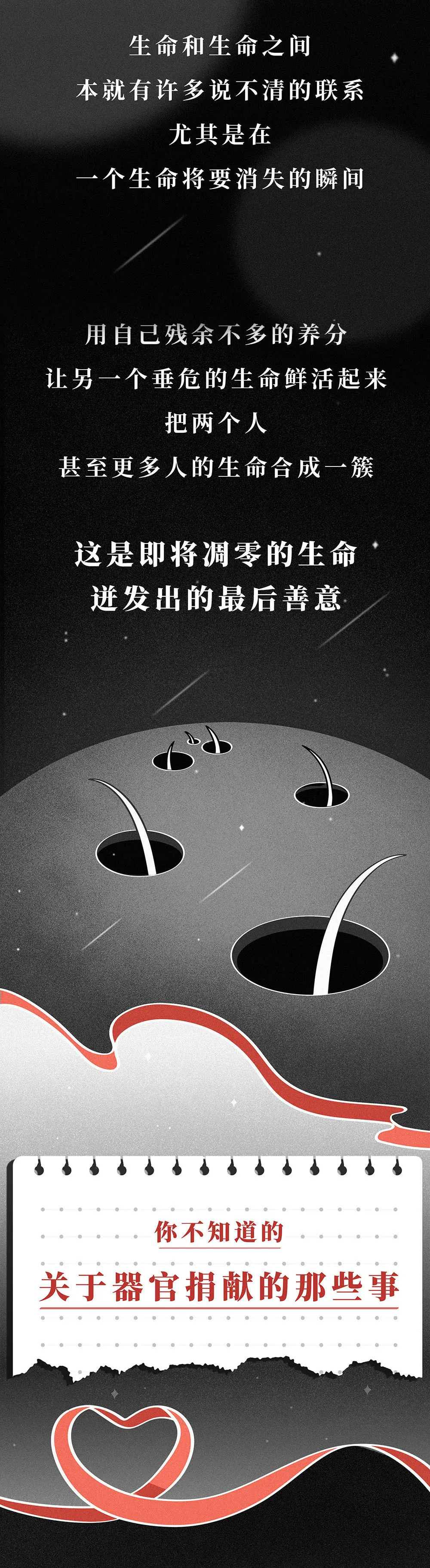费加罗夫人 “一个女孩去世后的24小时”