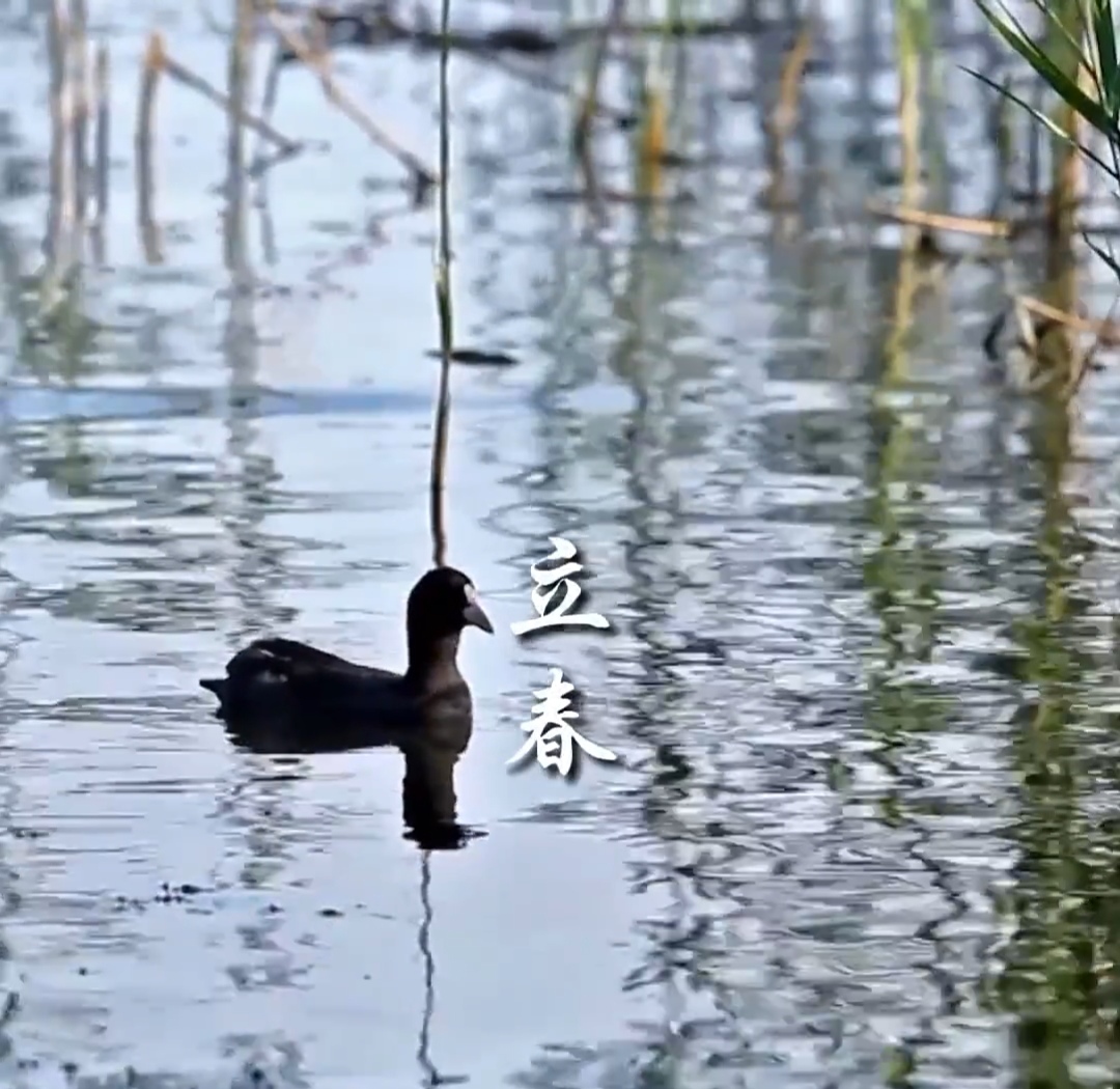 交易|期货投资频繁亏损都是因为犯了下来几个错误，看看能有没有犯错？