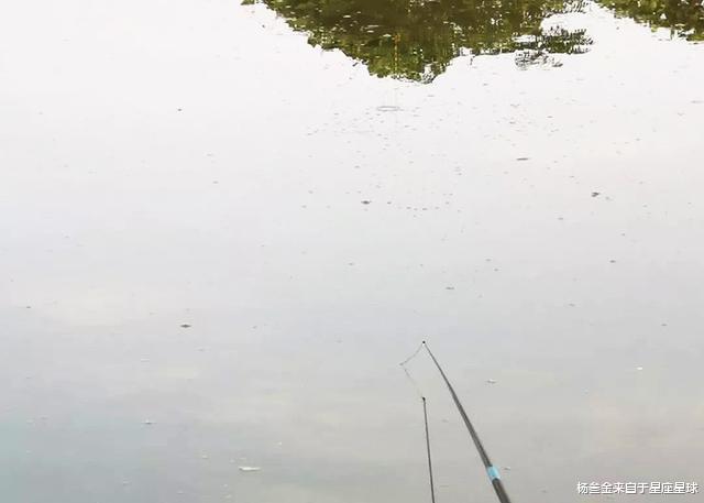 |鱼没出水，你永远不知道钓的是啥！盘点，水中钓起的“奇葩鱼”们