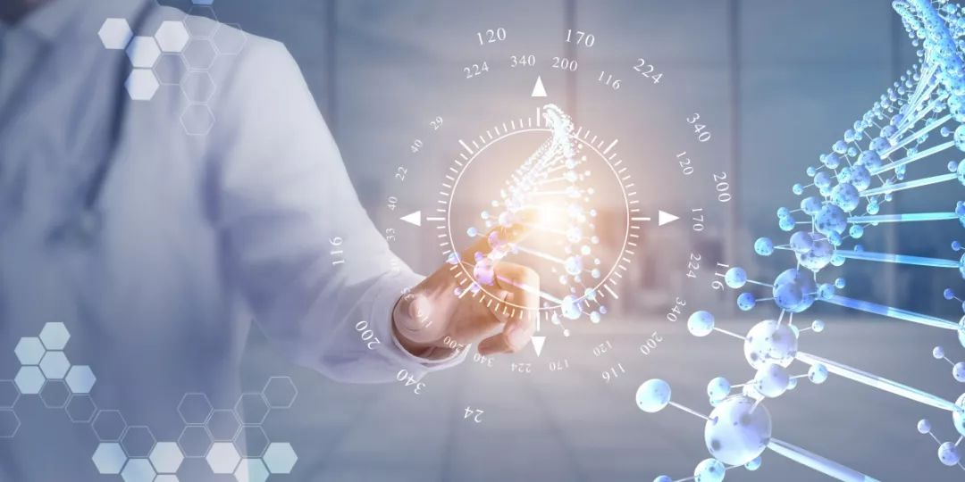 揭秘!小分子肽为什么这么受“宠”