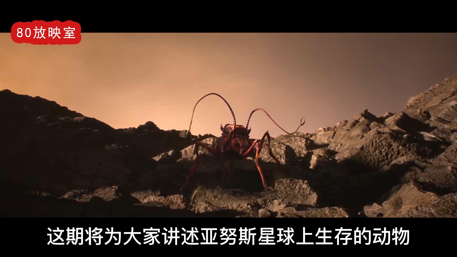 五足虫，亚努斯星球的一种动物，为了生存能变成任何需要的样子