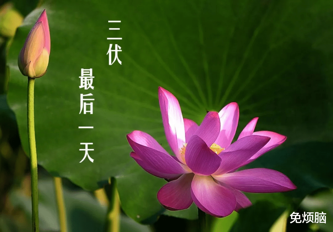 免烦脑|明日出伏，当心天气转凉，日常注意3防2不要，远离脑血管疾病