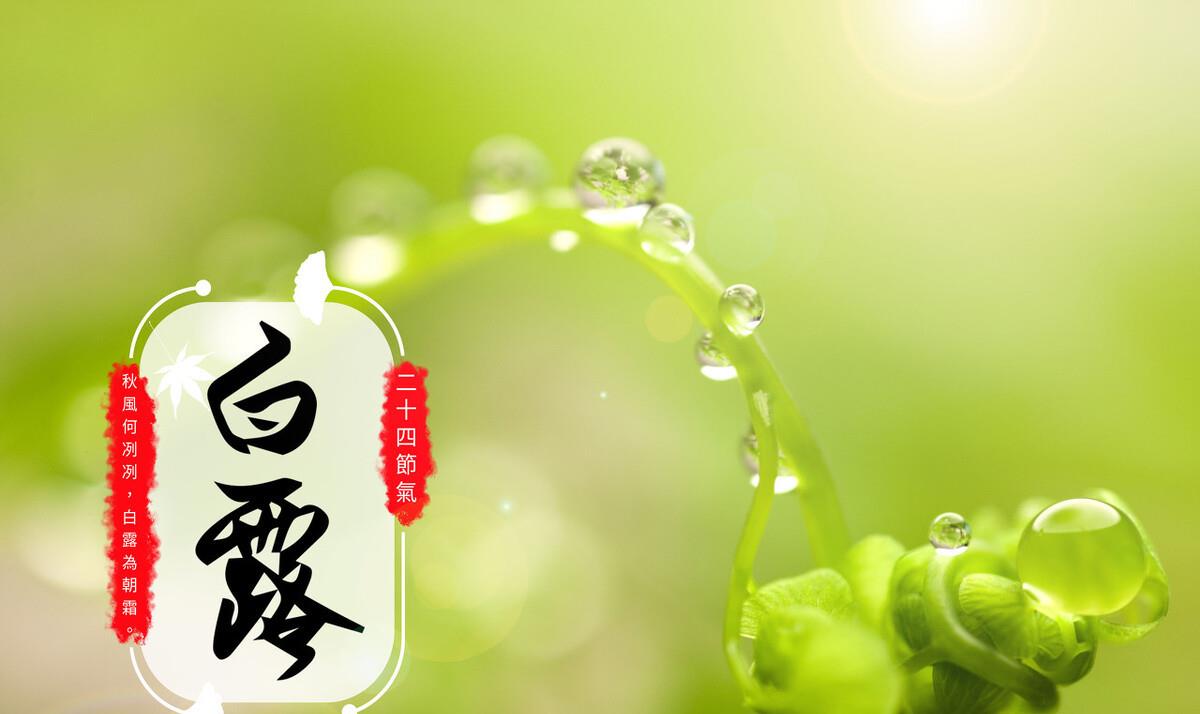 米酒|明日白露，老话说：白露用一宝，少吃一年药，遵循传统习俗才养人