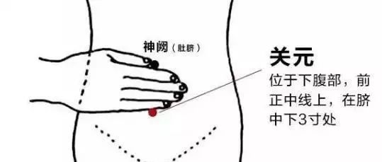 饮食|夏季用“艾”减肥，事半功倍