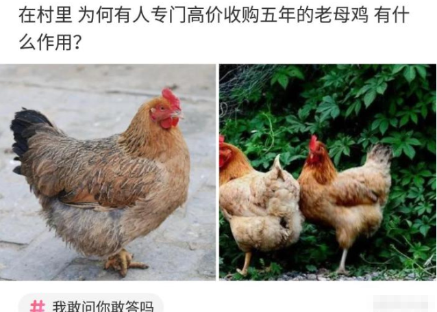 咸蛋的小姐 “妹子里面的护甲都看到了,下次拍照别穿这么凉快了!”我该原谅她吗哈哈哈