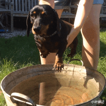 小叶娱记 “男朋友很棒是一种什么样的体验？”真是赚大了呀！