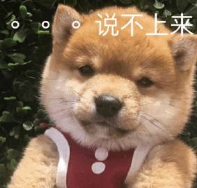 桉月|表情包：可爱萌宠的表情