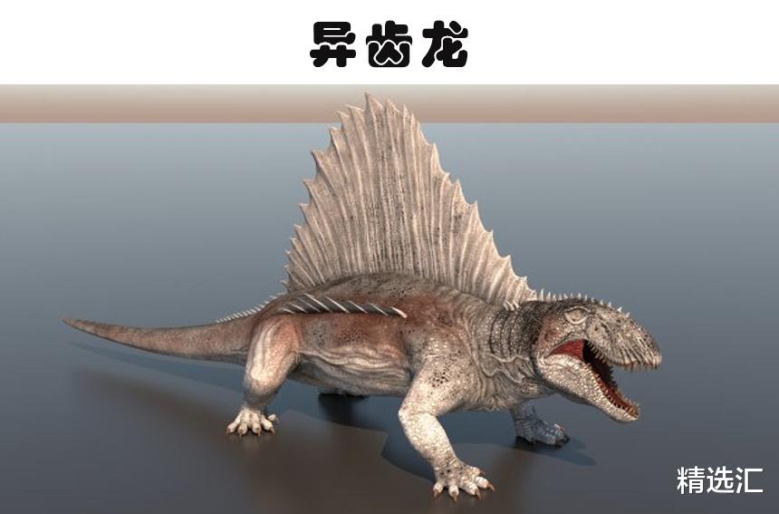 鲸鱼 科学家发现了有长颈鹿那么高的巨鸟！5个奇怪的史前生物发现