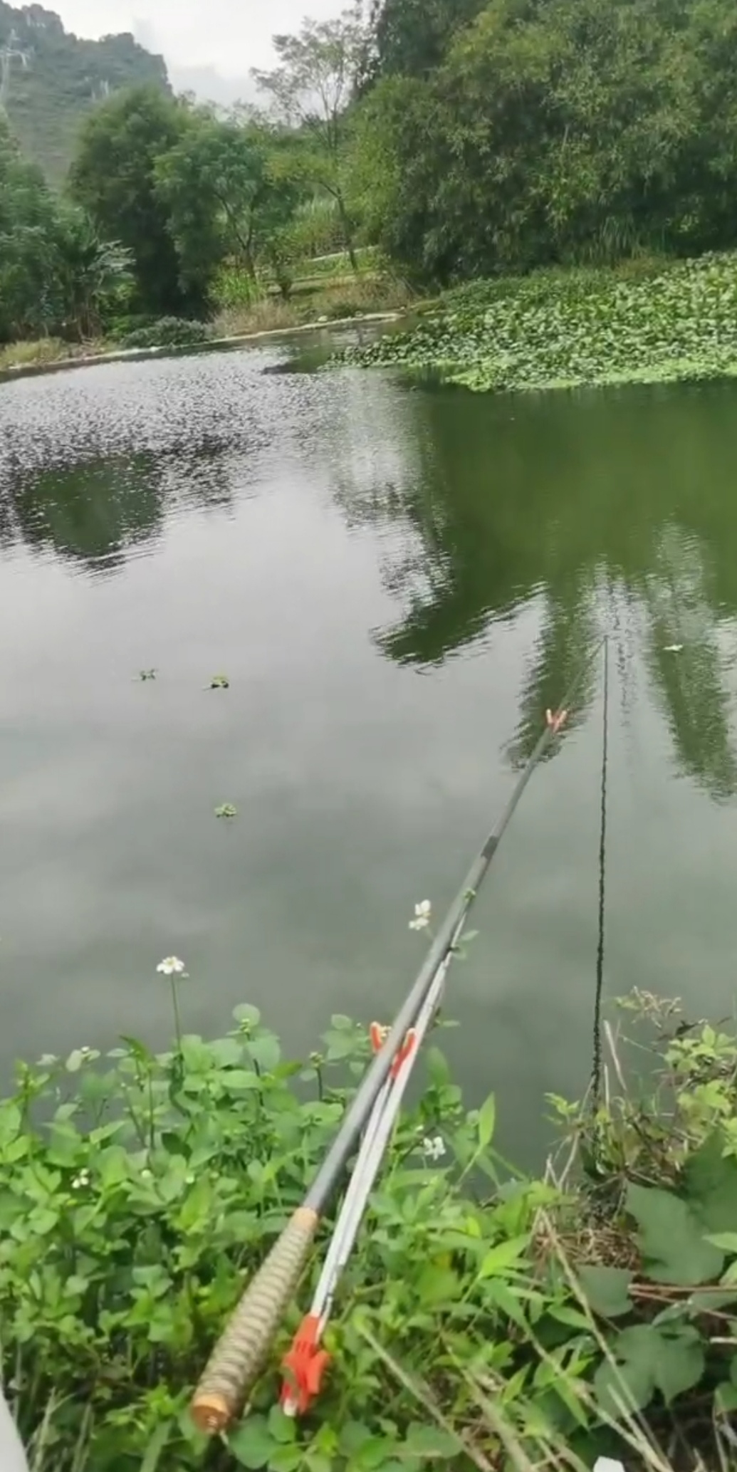 摩尔庄园|农闲去户外野钓