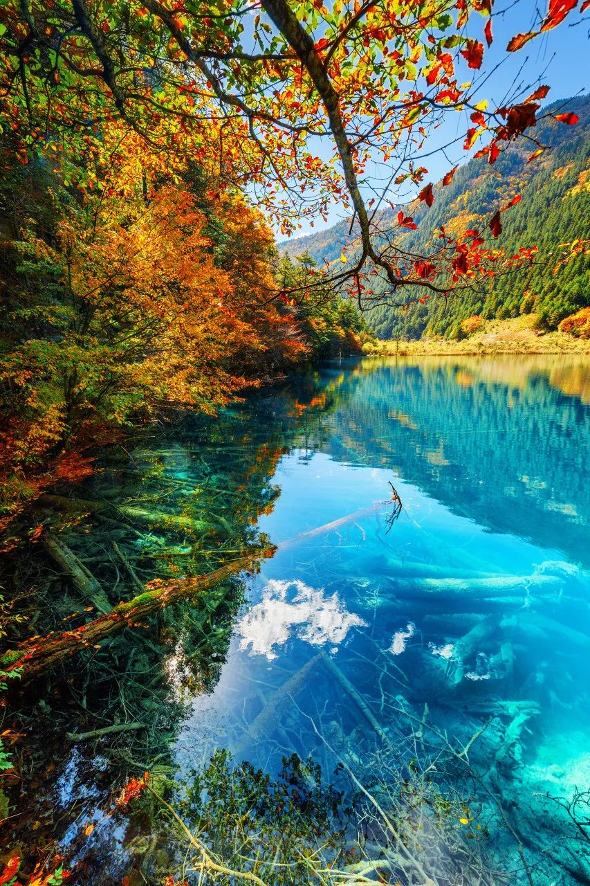 上海市 “中国最美的50个地方”榜单出炉!你打卡过几个?