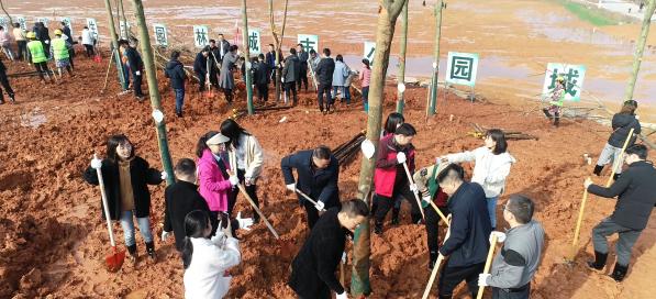 株洲发布 绿化美丽家园 建设公园城市