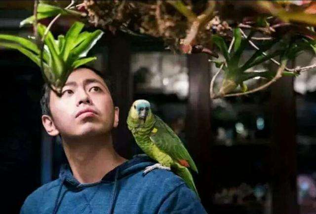 王昱珩|“我来了就不会输”，曾经豪横的水哥王昱珩退赛5年，如今咋样了