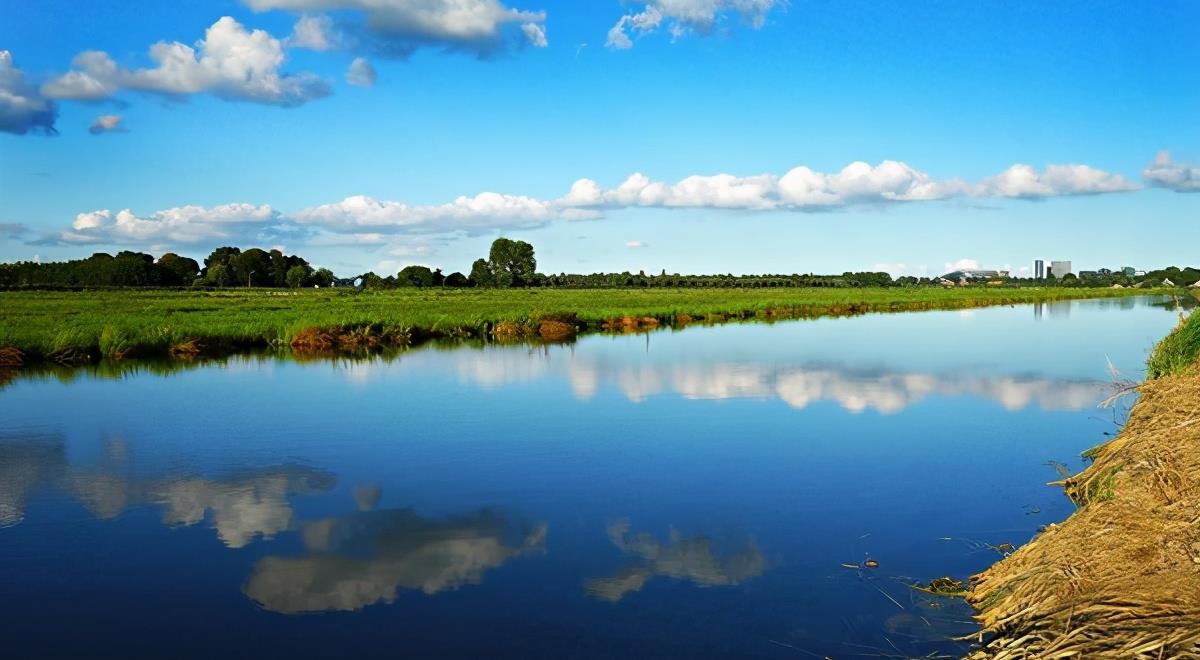 运势|2021年运势不佳的4个星座,职场上很难与人相处,烦心事一堆