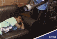 神回复 神回复:如果世界上所有的生物都开始反抗,人类可以撑多久