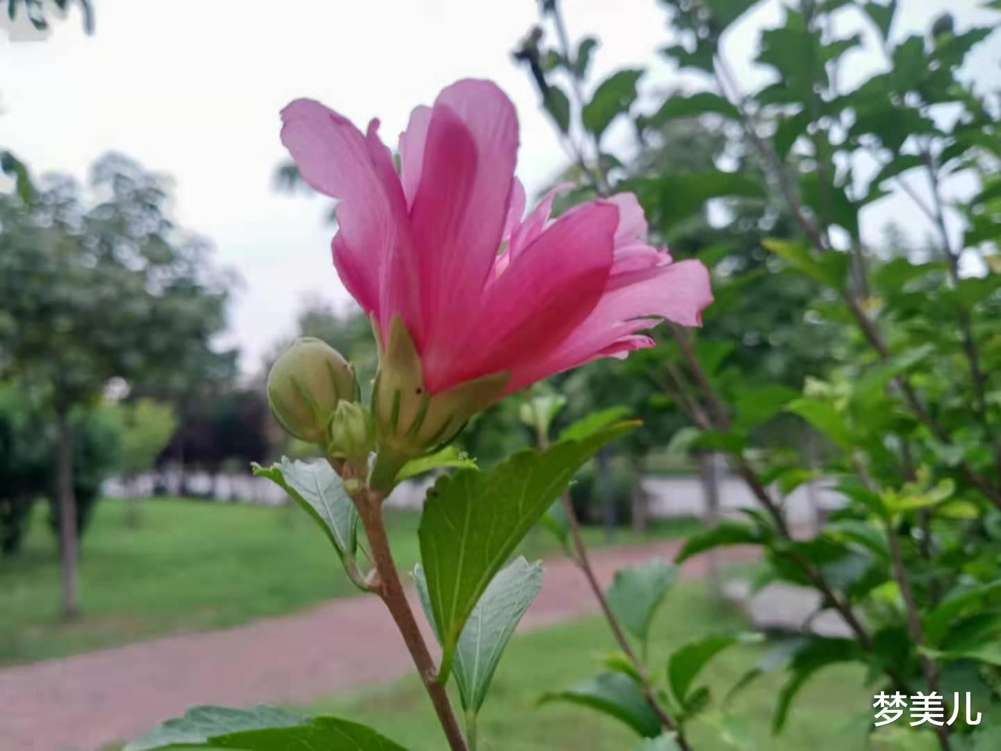 梦美儿|吃好自己碗里的,别想别人锅里的