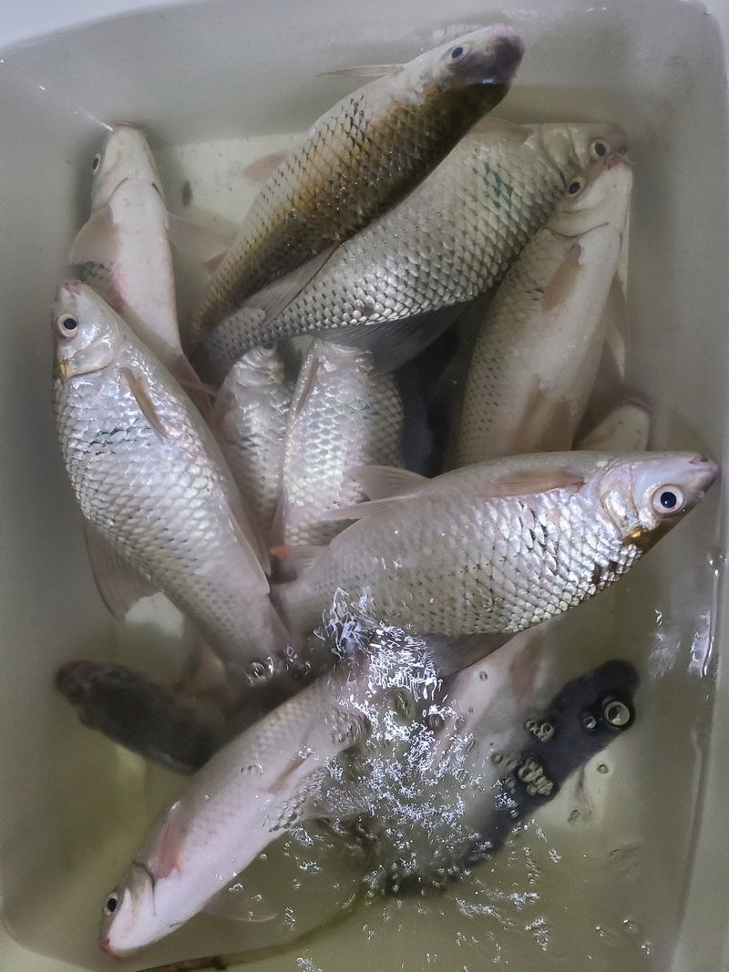 |分享一次爆护经历，你就会明白想钓好鱼真正需要什么