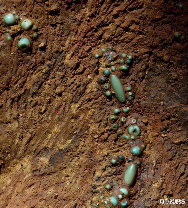 求职|学会低头，才能发现不一样的世界