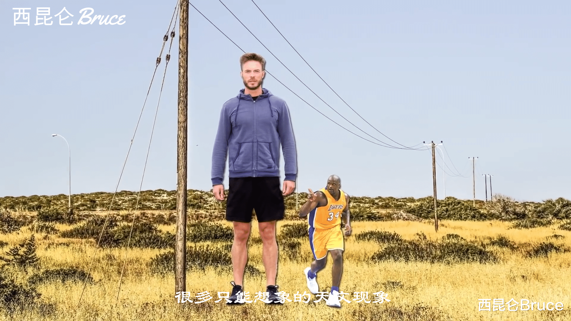 长颈鹿 突发奇想：如果人体被无限放大，过程中会看到些什么呢？