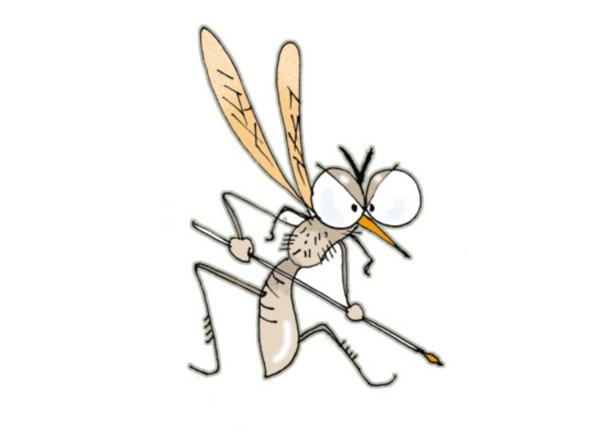  三伏期的蚊子更猖狂！每年72.5万人死于它手，O型血更招蚊吗？