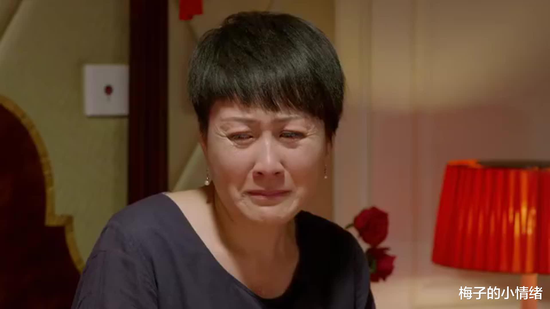 梅子的小情绪|婆媳同住30天，妻子被气哭15次，丈夫花500元请婆婆吃“鸿门宴”
