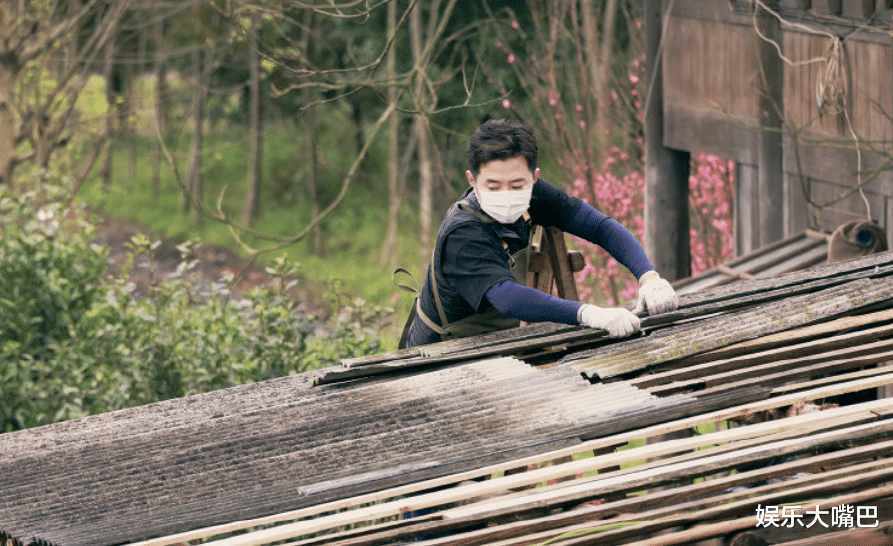 黄磊|《向往5》迎来“排面”最高的嘉宾，人气不高却受到导演特别对待