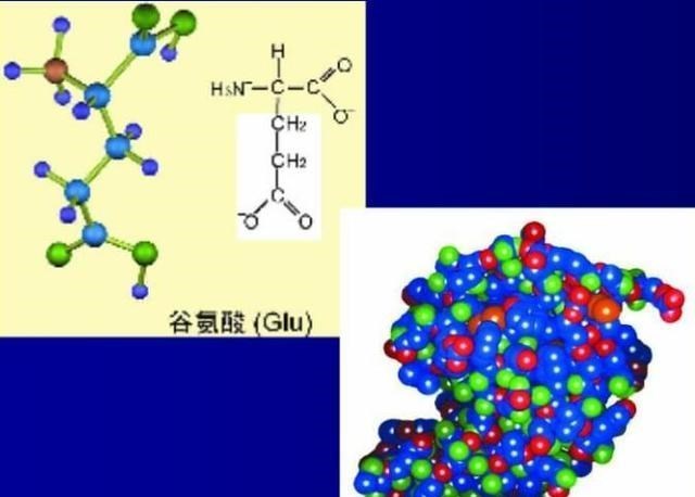 野生动物 为什么地球选择了碳基生命,而非硅基生命?宇宙中存在硅基生命吗